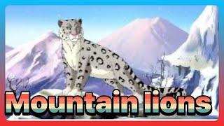 Epic Mountain Lion Family Adventure in the Wild in episode 9