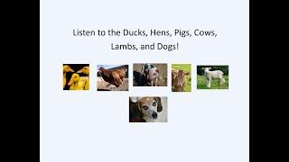 Listen to the Ducks, Hens, and Lambs, Pigs, Cows, Dogs, Cats, and Horses