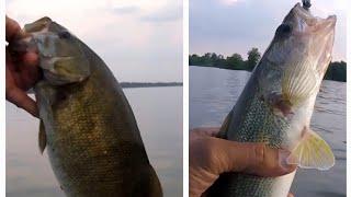 Fishing Alum Creek Lake, Ohio.  Fun and HOT Day On The Water!