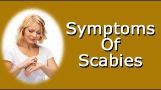 Scabies Symptoms