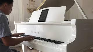 Pforte baby grand piano video demo