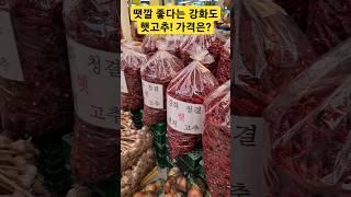 땟깔 좋다는 강화도 햇고추! 가격은 얼마여? 진짜? #햇고추 #고추 #홍고추 #빨간고추 #청양고추 #고추시세