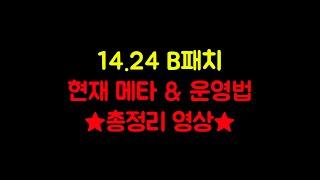 【롤토체스 강의】14.24 B패치 메타 총정리