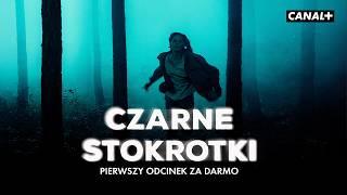 Czarne Stokrotki | Pierwszy odcinek za darmo | Nowy serial CANAL+