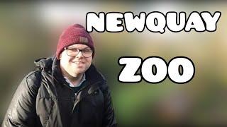 Newquay Zoo & Animal wildlife park Vlog Jan 2023