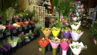 Flowers Upon Flowers Florist Shop in Camberwell VIC for Floral Design and Gifts