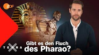 Mysteriöse Todesfälle oder der Fluch des Pharao | Terra X