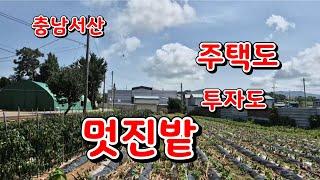 [물건19번]주택 건축용 투자용 충남서산 토지매매 서산토지매매 전원주택 서산 황금알  부동산 010 7553 6586