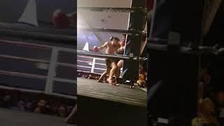 Fight Night Knockout in Holland