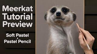 How to Draw Realistic Animals | Soft Pastels & Pastel Pencils | Meerkat Tutorial Preview