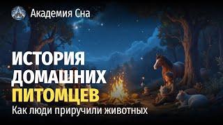  Лекция для сна  История домашних питомцев: как люди приручили животных 