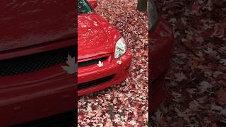 Fall vibes with the Honda Civic  #honda #civic #shorts
