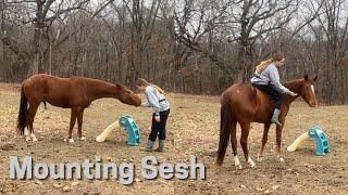 Working on Chance’s Mounting Manners~ also riding at Liberty