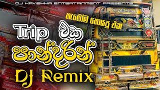 ට්‍රිප් එක පාන්දරින් DJ Remix | trip eka pandarin Dj remix | Bus DJ Remix 2025 |new dj remix |