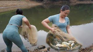 Harvesting Fish - cast net fishing video to catch many big fish, Fishing Daily Life