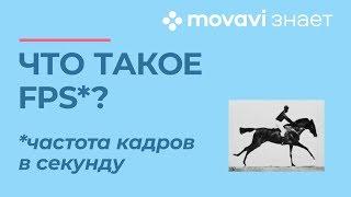 Что такое FPS - частота кадров в секунду?  | MOVAVI ЗНАЕТ