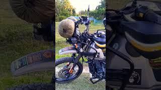 411 Himalayan 2022 - Hardcore off-roader! Beast! #himalayan #411 #royalenfield #solace #subscribe