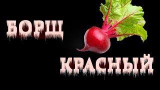 Красный борщ со свеклой. Как правильно варить вкусный борщ