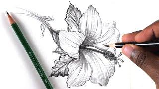 How To Draw A Flower: Step by Step In 10 Minutes