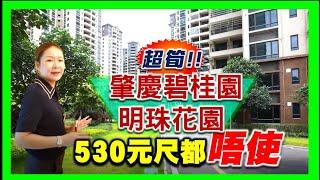 【肇慶hit盤】恆大地產的另一個選擇｜金9銀10大優惠｜碧桂園明珠花園活動價5288/㎡樓層任你選擇｜