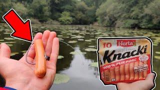 Pêcher le brochet à la KNACKI en surface ! Ça marche vraiment !?