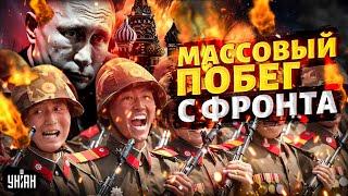 Массовый ПОБЕГ с фронта: солдаты КНДР отказались воевать. Путин в трауре