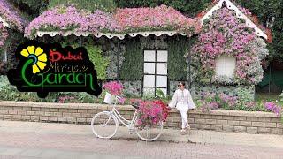 Experience Dubai Miracle Garden 2023 | Sunday Chill