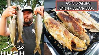 ARCTIC GRAYLING CATCH CLEAN COOK!