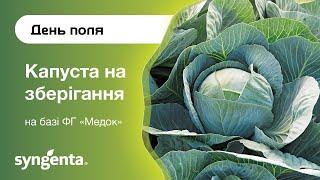 День поля «Капуста на зберігання», ФГ «Медок»