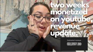 This is how much I made on youtube two weeks being monetized...