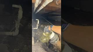 Dealing with a sewer back up that could only be accessed from a crawlspace. #HandsomeOrHandy