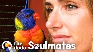 Wild Lorikeet Brings Girlfriend to Meet Human Mom | The Dodo Soulmates