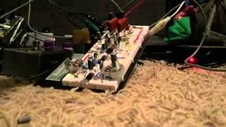 Ibanez CS9 clone breadboard