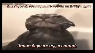 Кот моется| Мемы