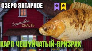 🟢КАРПФИШИНГ- ОЗЕРО ЯНТАРНОЕ + МОРЕ🟢|  Русская Рыбалка 4