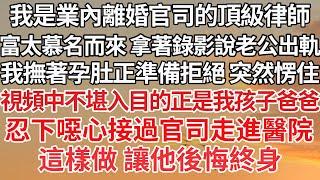 【完結】我是業內離婚官司的頂級律師，富太慕名而來 拿著錄影說老公出軌，我撫著孕肚正準備拒絕 突然愣住，視頻中不堪入目的正是我孩子爸爸，忍下噁心接過官司走進醫院，這樣做 讓他後悔終身【爽文】【豪門】