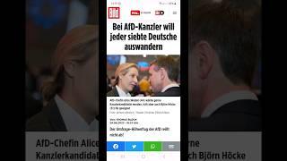 Und bei einer Grűnen-Kanzlerin? #afd #grüne #bild