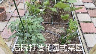 【花园式菜园】在后院建菜园种菜 ，疫情期间打造花园式菜园