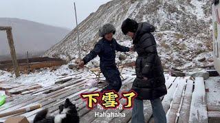 阿尔山终于下雪了，老狼和小爱开心的跳起来舞