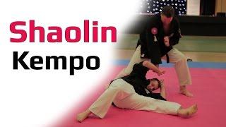 Awesome Shaolin Kempo Master Toni Finken Schaffrath