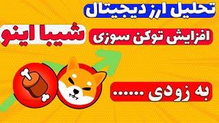 ارز شیبا اینو: 642% افزایش توکن سوزی/ آپدیت سایت/ شیباریوم به زودی