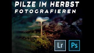 Pilze fotografieren im Herbst bearbeiten in Lightroom und Photoshop