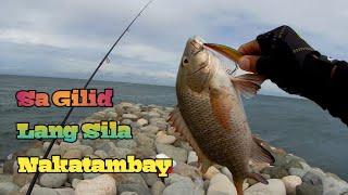 Mangrove Snapper Fishing | Bahay ng mga Managat