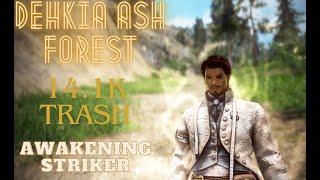 Black Desert | Awakening Striker 317AP | Dehkia Ash Forest - 14.1K Trash Lv 2 Loot Agris ON