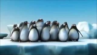 Penguins vs Shark