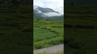 beautiful land for sale Uttarakhand || बहुत ही सस्ती जमीन बिकाऊ