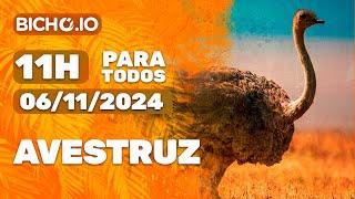 Resultado ao vivo PARATODOS # 11H - PT - 06/11/2024