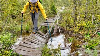 Ambient Silent Hiking on the West Coast Trail, Canada