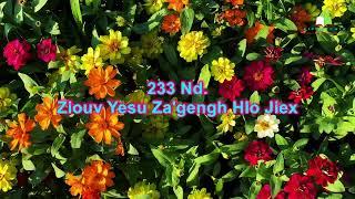 233 Nd.  Ziouv Yesu Za'gengh Hlo Jiex