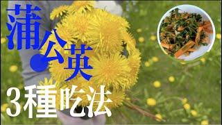 它是天然的排毒草，蒲公英的三種吃法，清熱解毒保肝護肝 | 3 Ways to Eat Dandelion